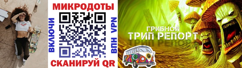 Галлюциногенные грибы Cubensis Городище