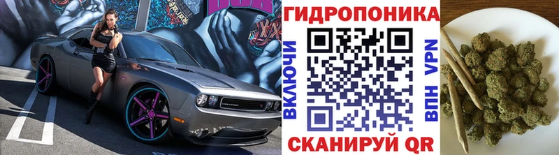 Конопля White Widow  купить   Городище 